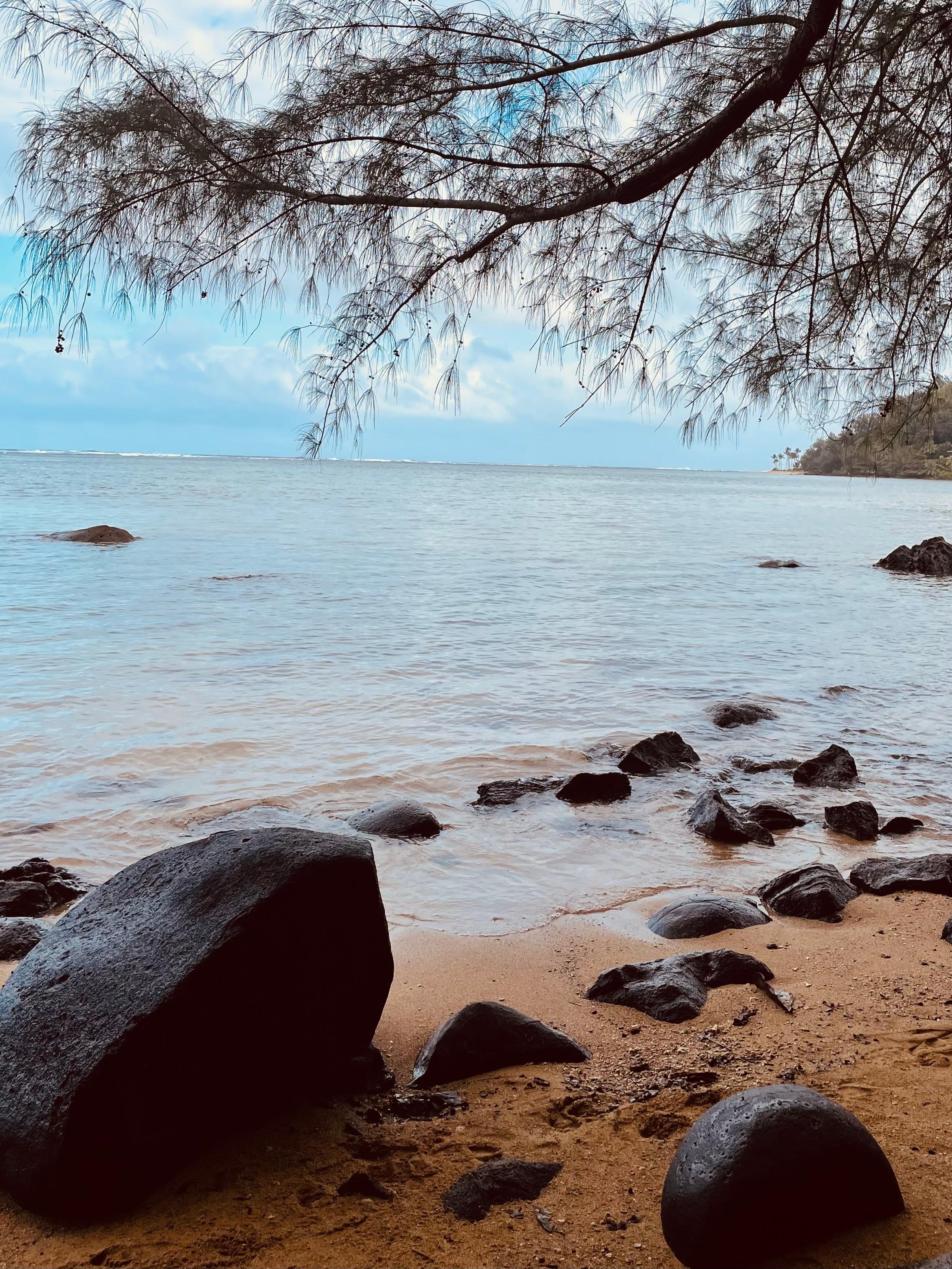 West side of the beach.