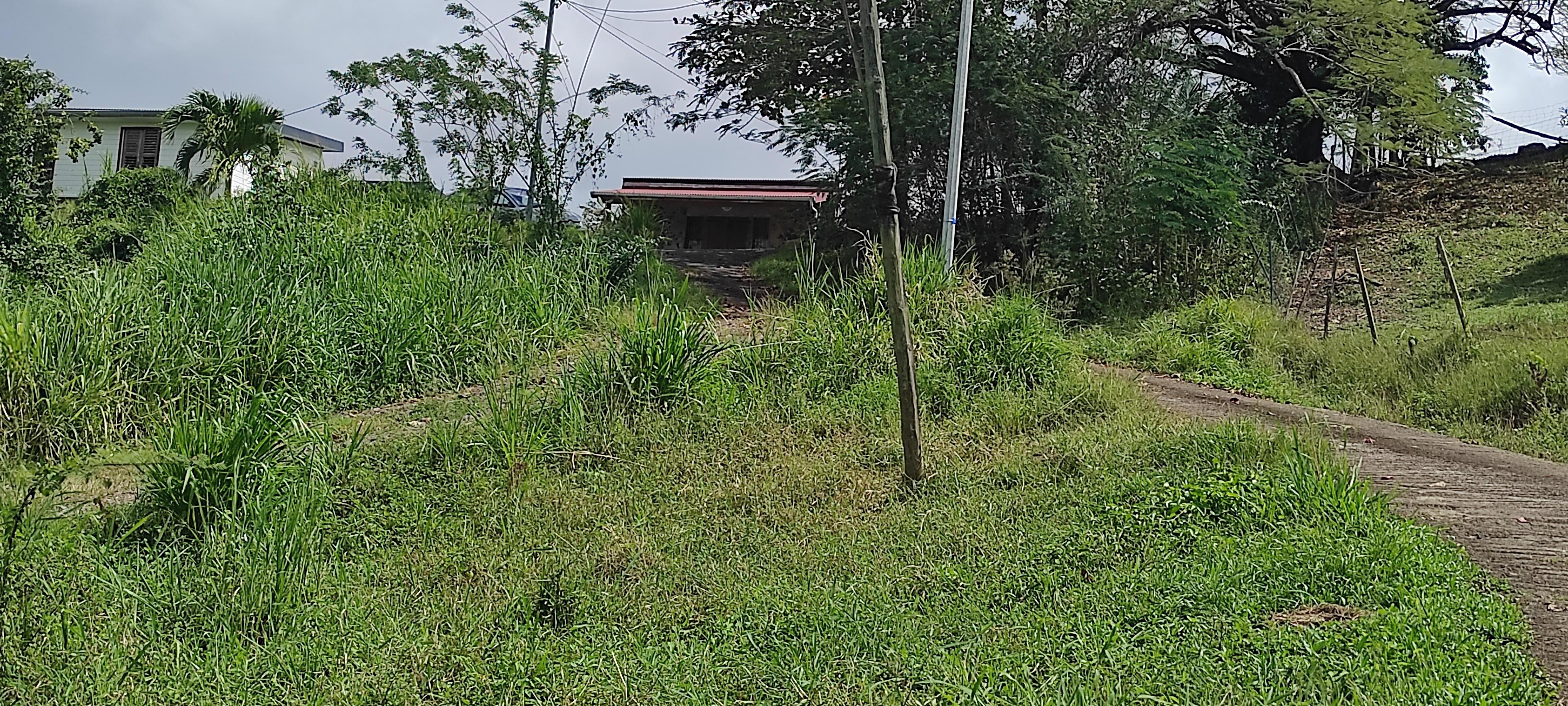 Accès bungalow Ylang