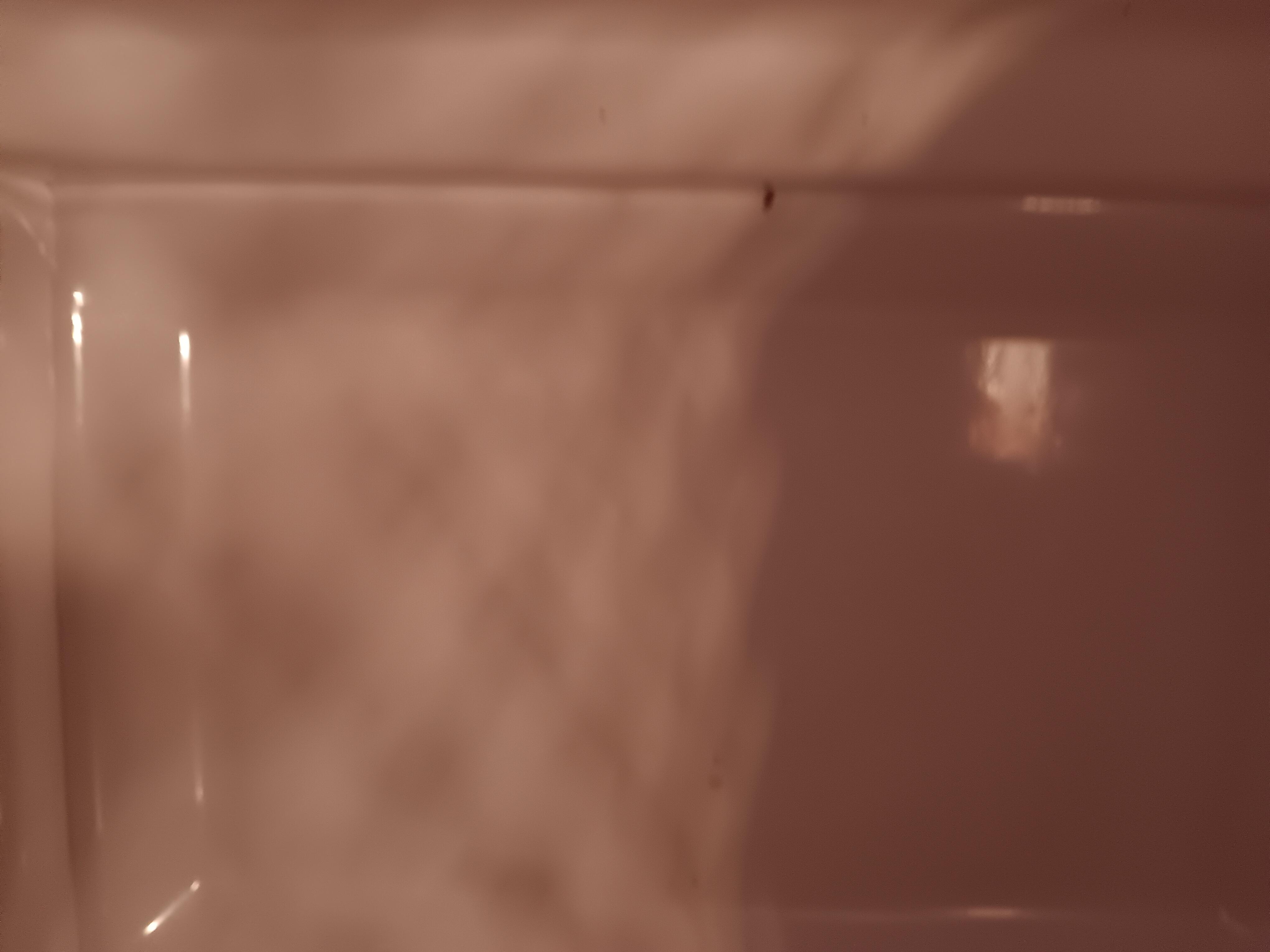 Roach in microwave 