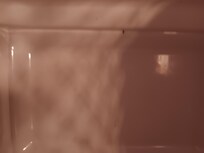 Roach in microwave