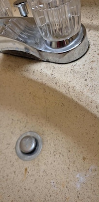 Hair and beard shavings