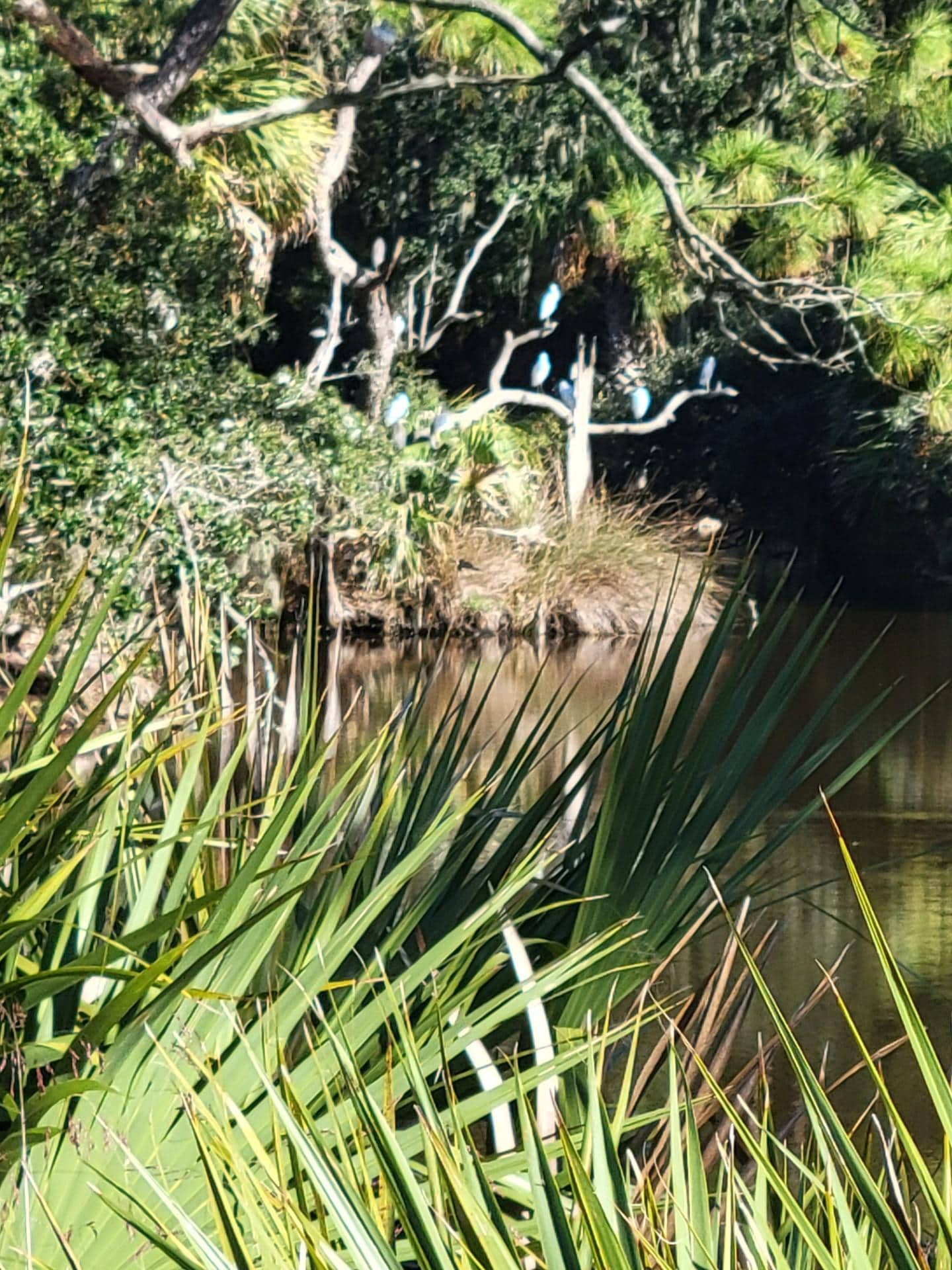 Scenery in St Helen Island