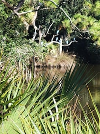 Scenery in St Helen Island