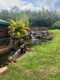 Water feature outside reception