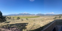 The view from the back porch.