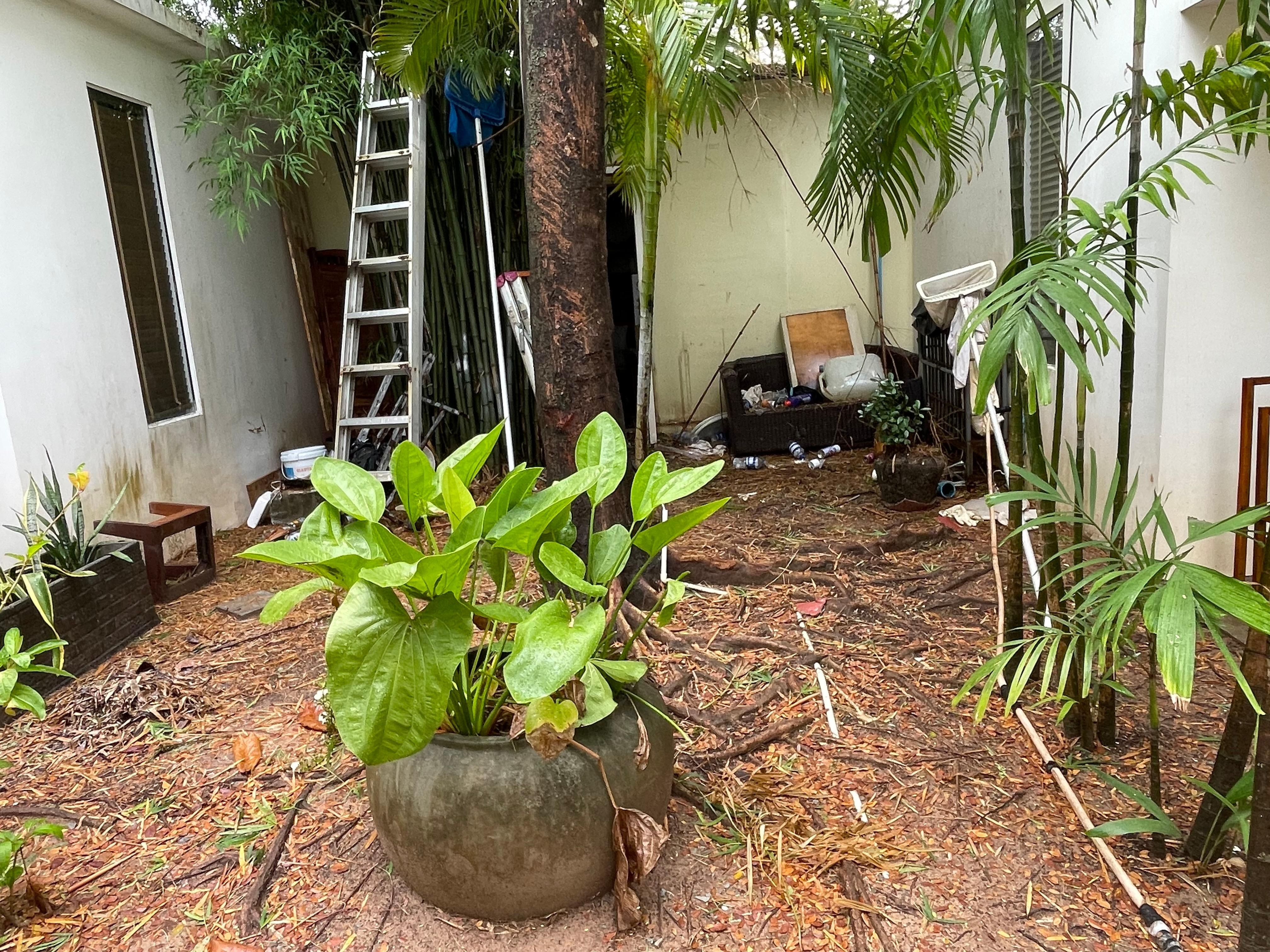 Jardin entre les chambres/bungalow