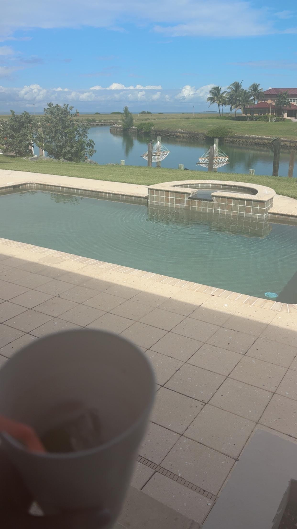 From the kitchen door!