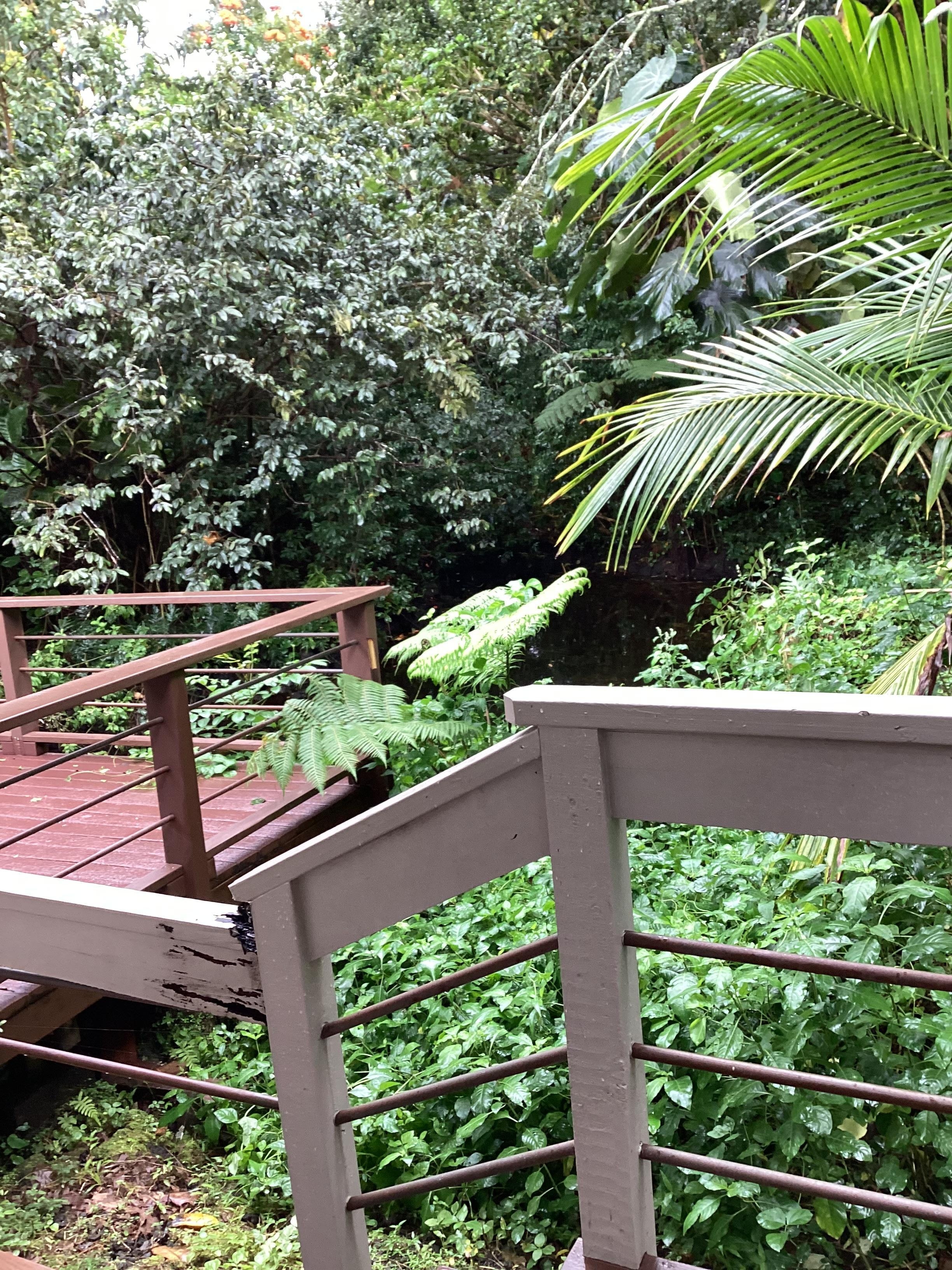 View from the back lanai.