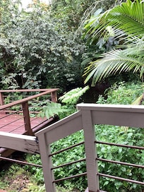 View from the back lanai.