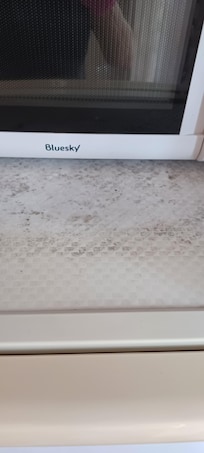 lots of moald on the fridge