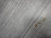 Blood like dried nastiness on table