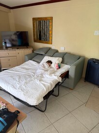 Ocean view rooms are tiny - sofa bed is 2nd bed