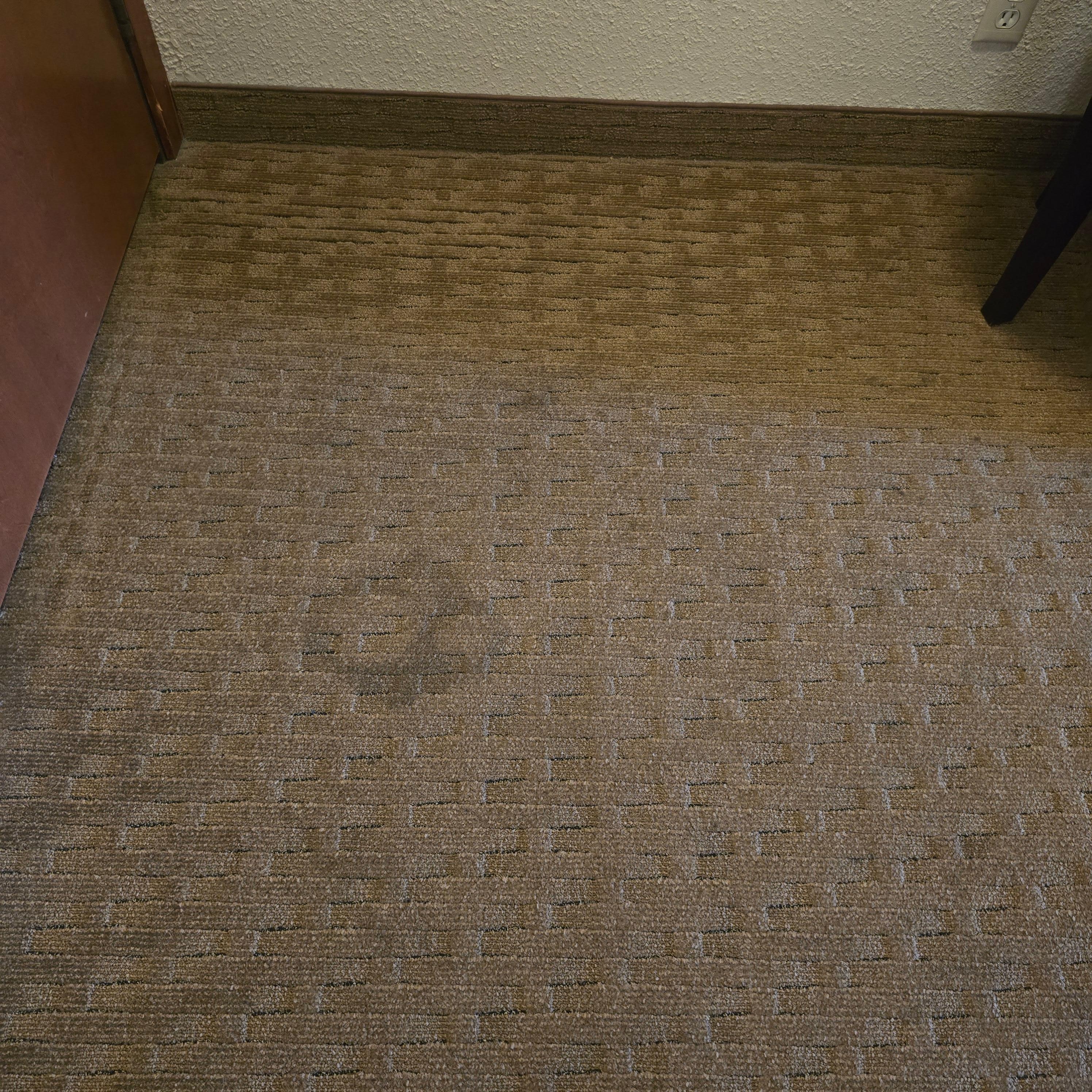 One example of filthy carpet