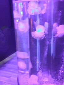 Aquarium