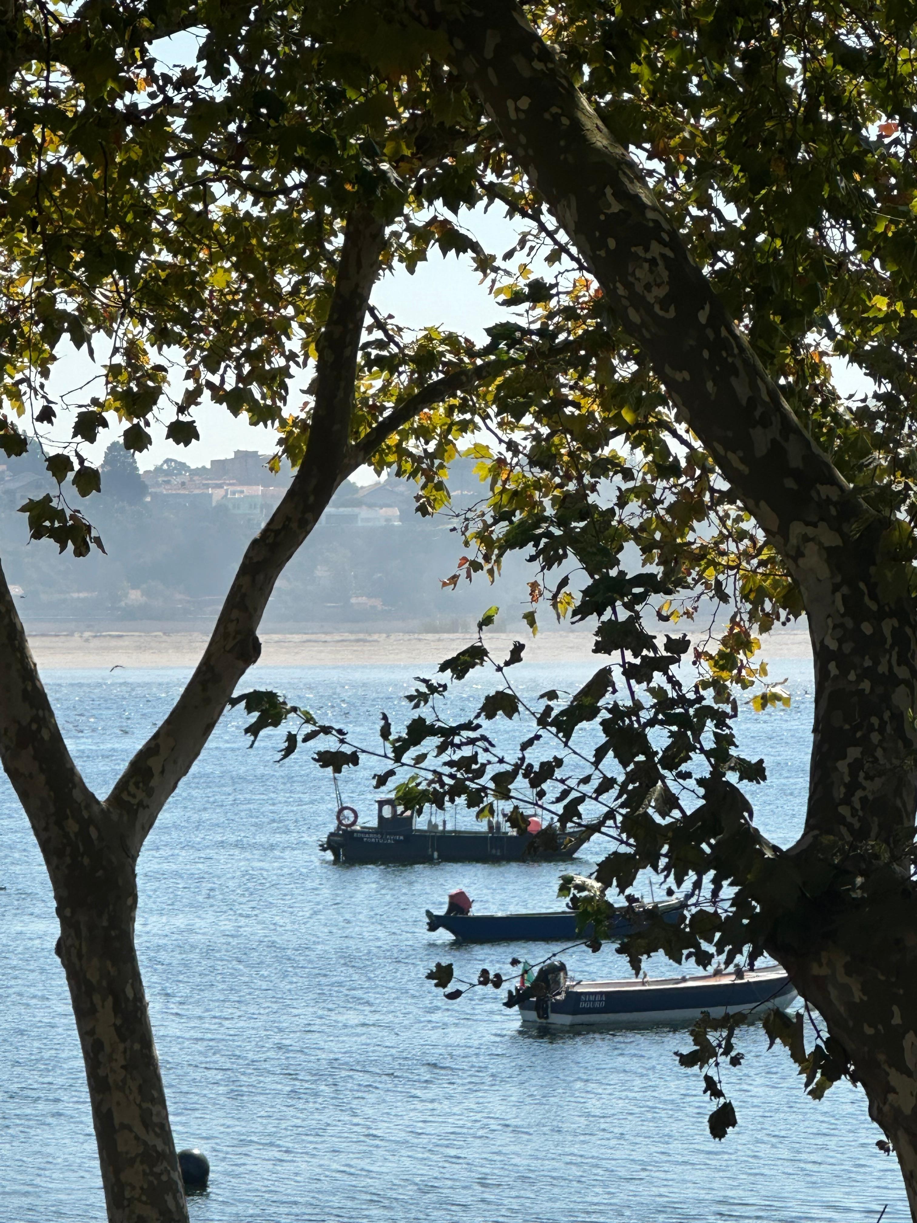 A view from the nearby restaurant