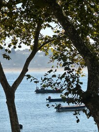 A view from the nearby restaurant