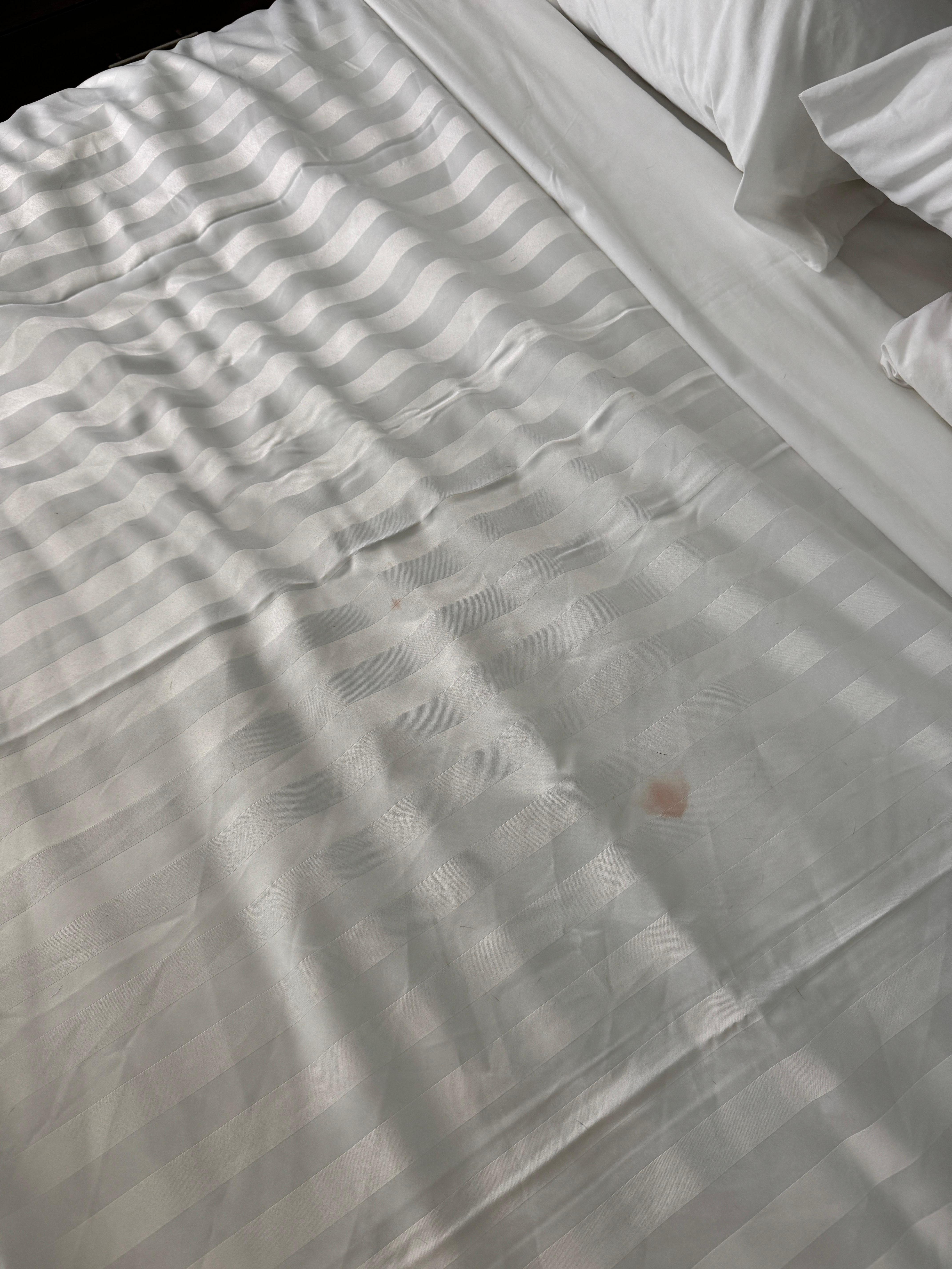 Surface stains on the sheets, I couldn’t bear to take a photo of the bottom sheet it was so disgusting.
