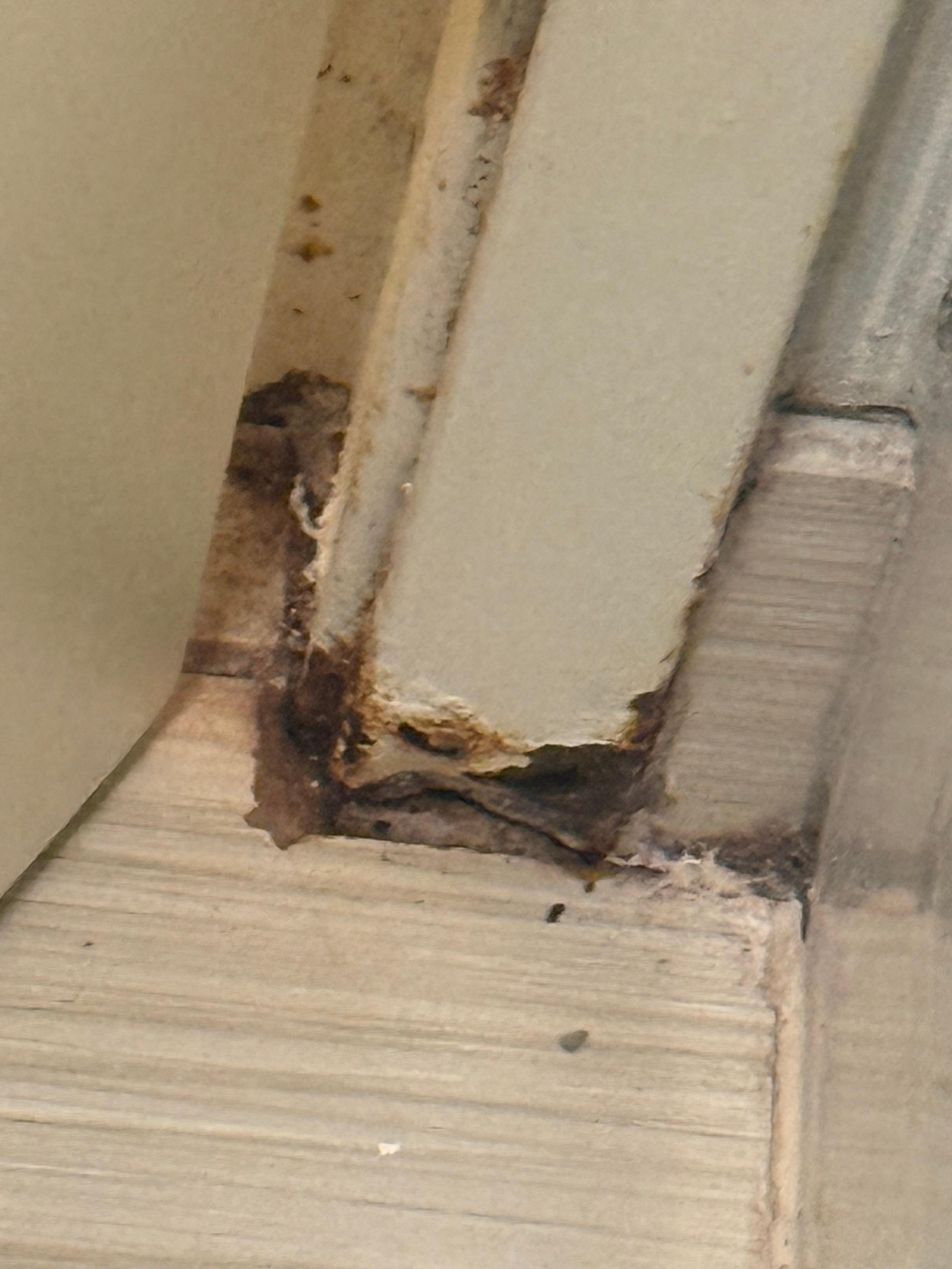 This was along the bottom of the bathroom 