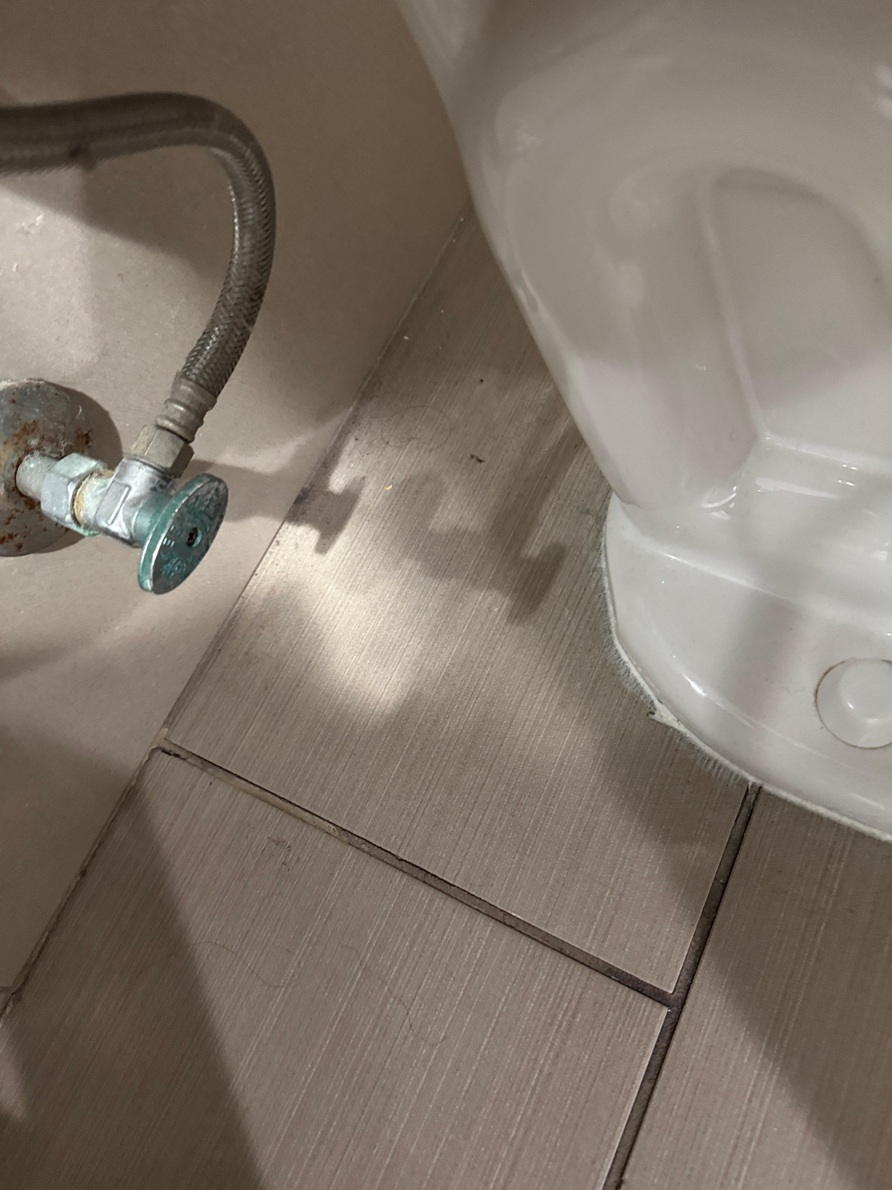 Dirt around the toilet and floor