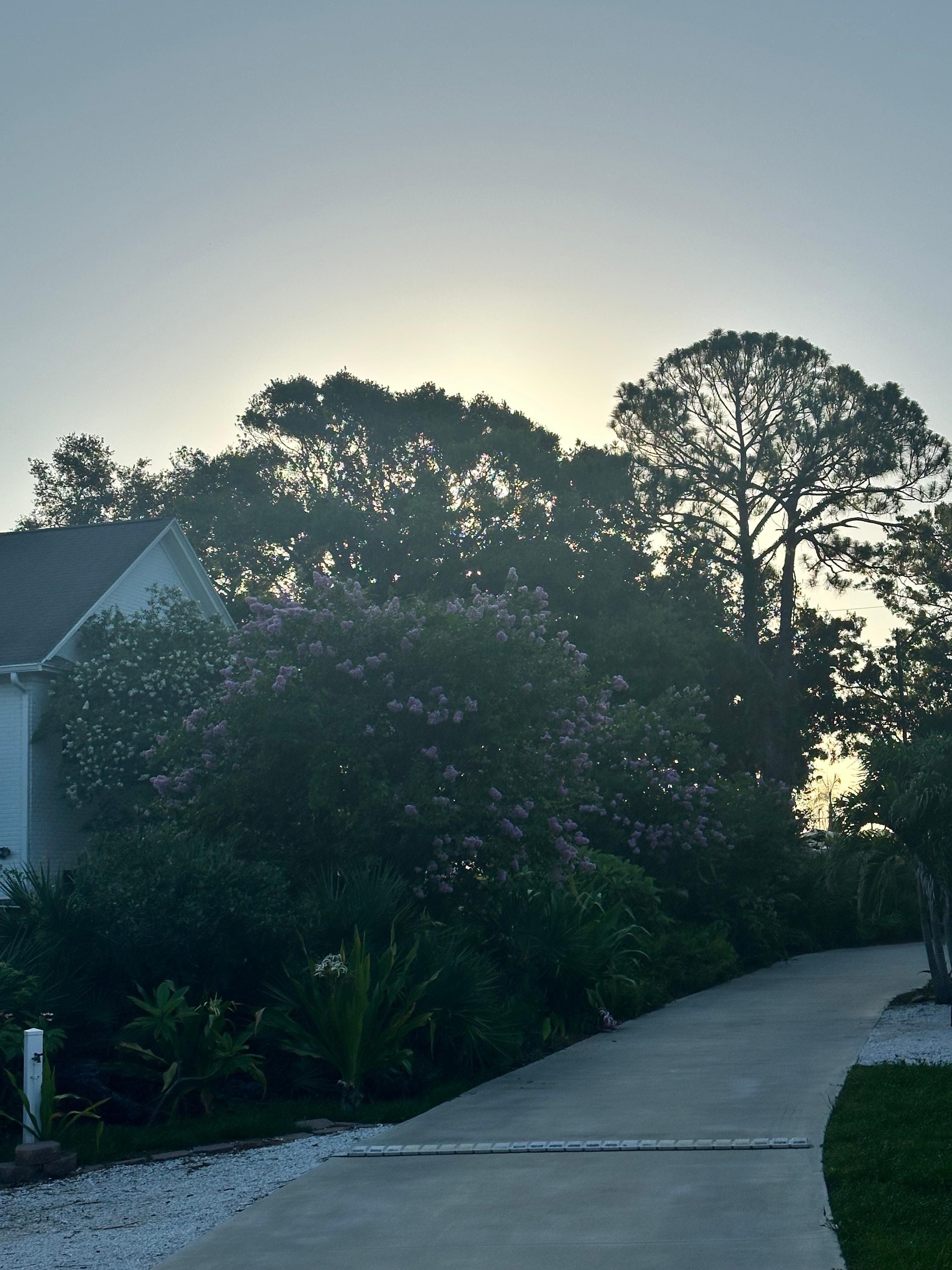 The West Wing parking area right before sunrise.