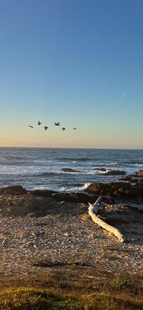 Asilomar beach