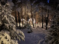 Wild Lights at Wild Center