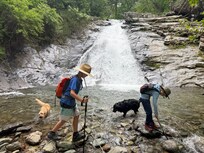 Waterfall guided hike