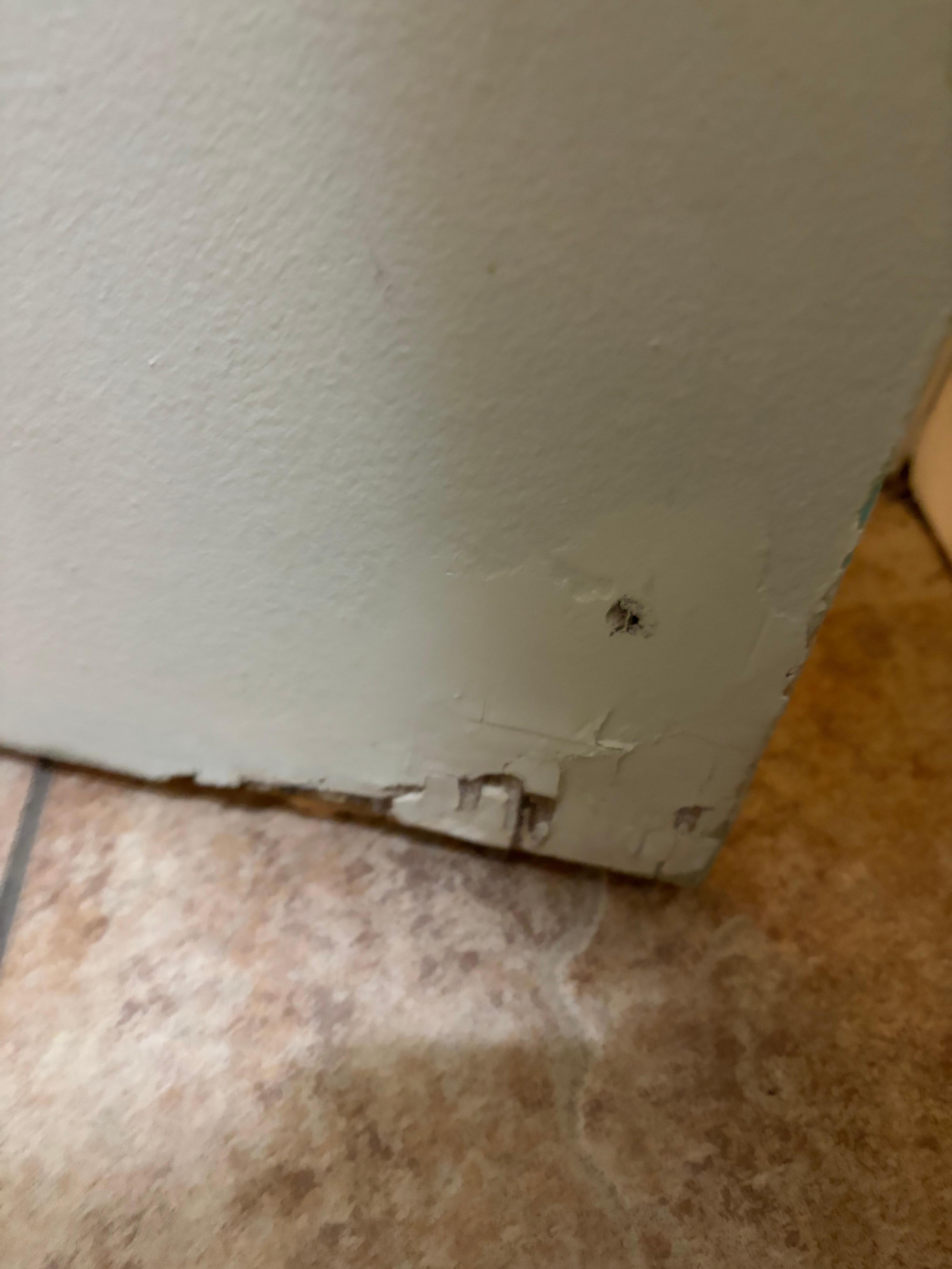 A imagem é da porta do banheiro. Fala por si só. 