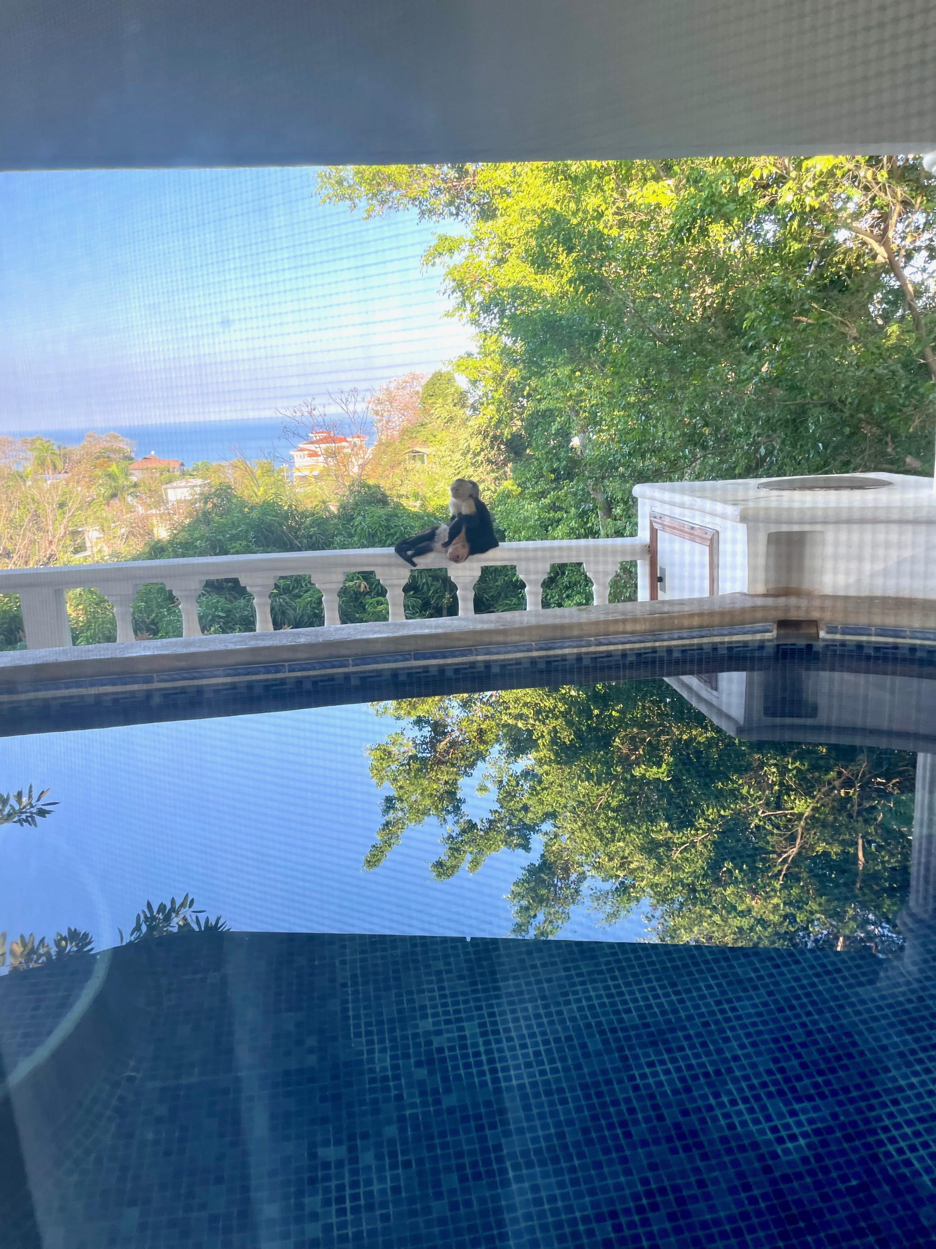 View from the second floor balcony with wading pool and monkey. Ocean in the distance.