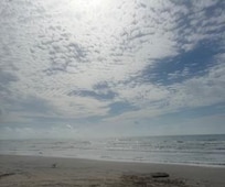 Morning Walk