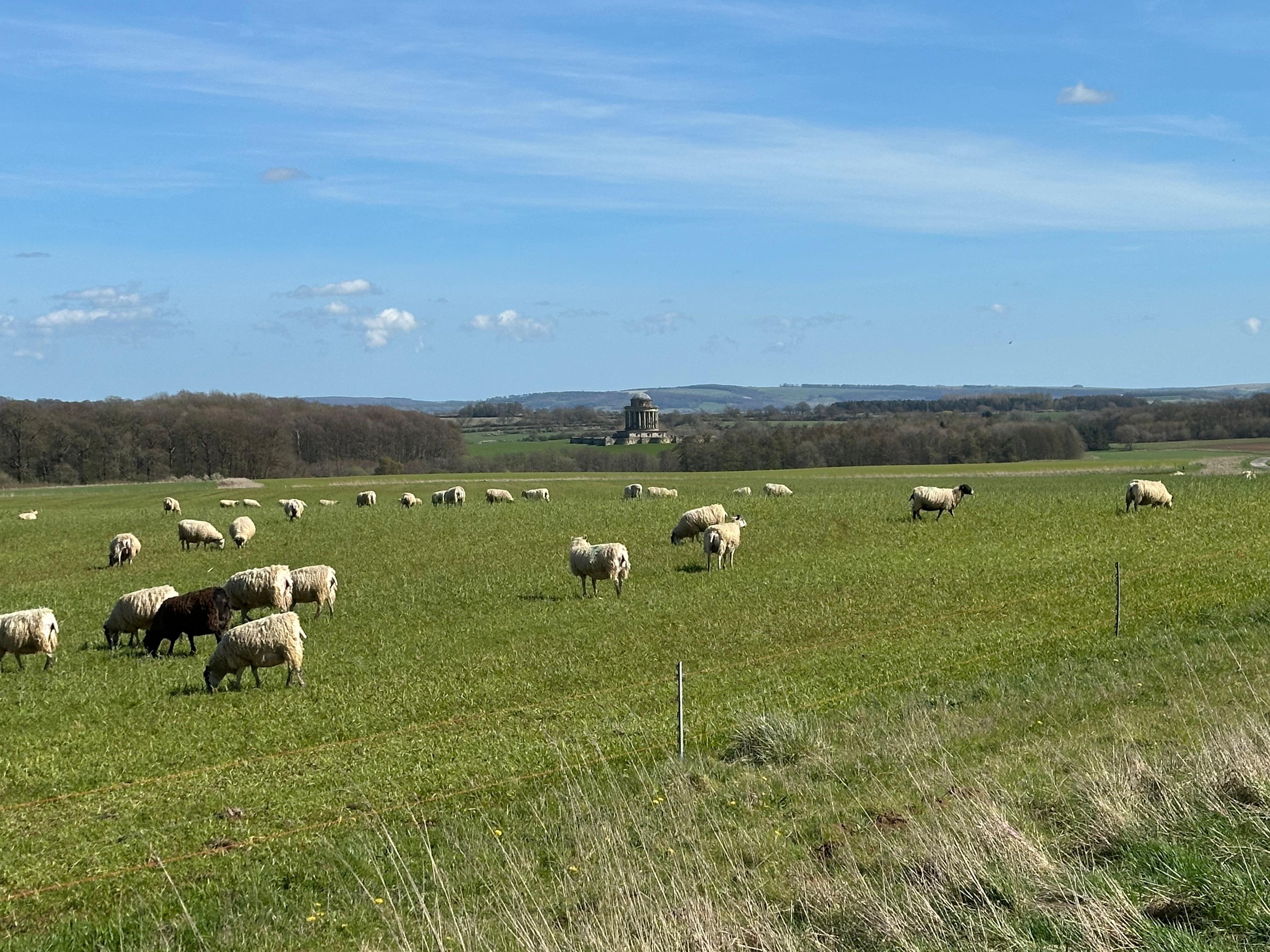 Great rural walks from the house