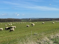 Great rural walks from the house