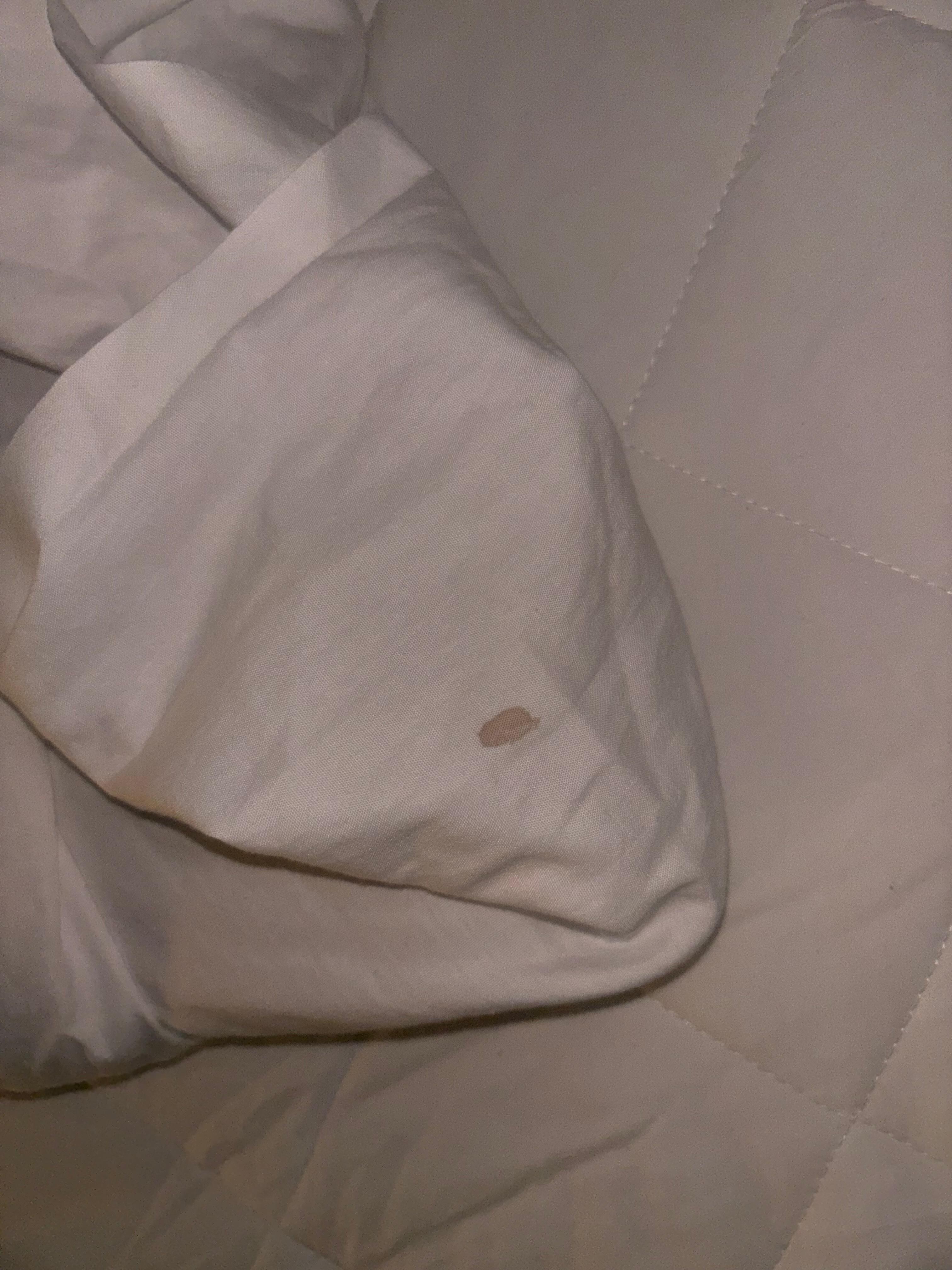 Other bed sheet also dirty 