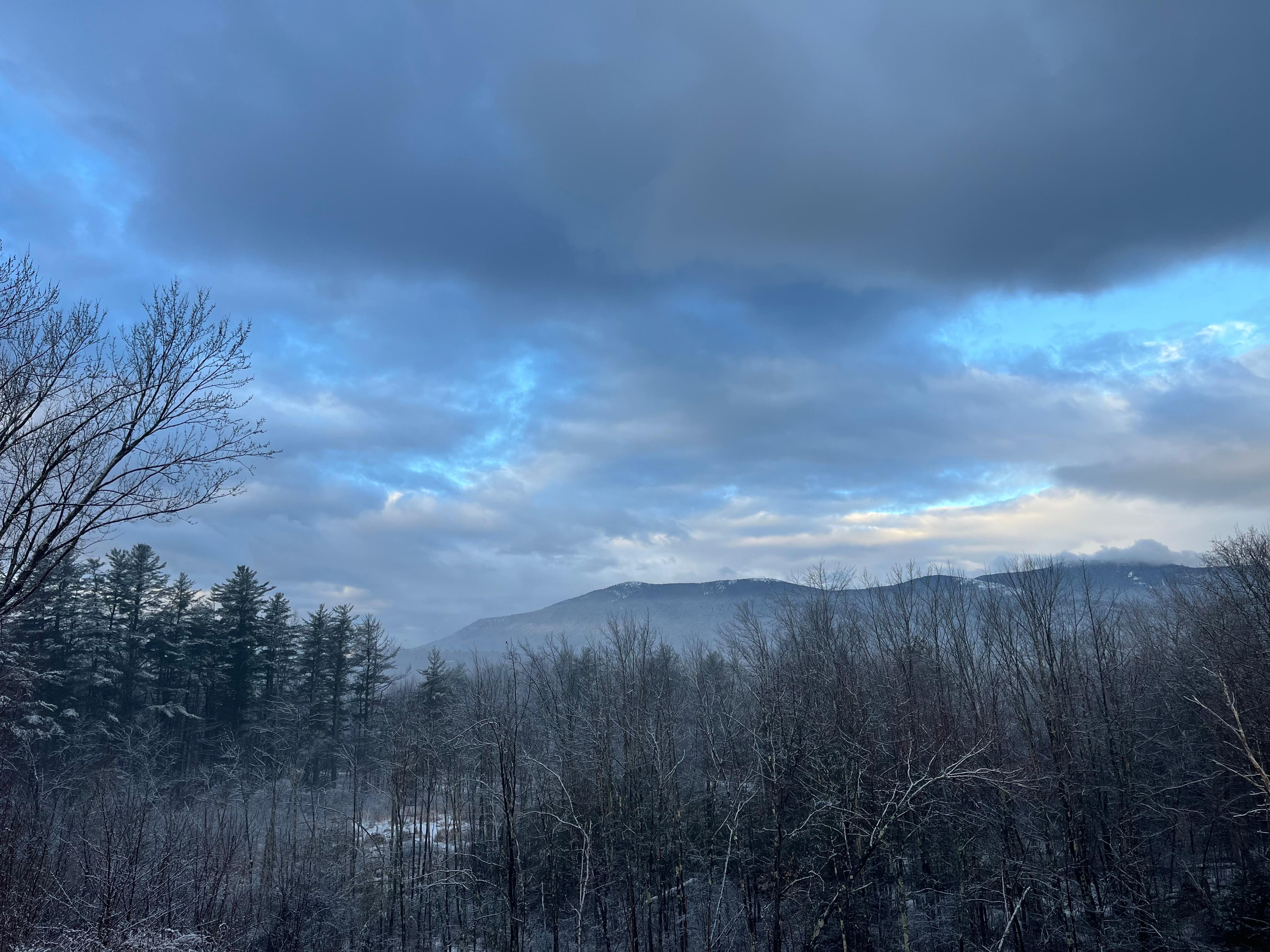 View from back rooms/porch