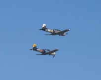 We had several of these planes flying by on few different days.