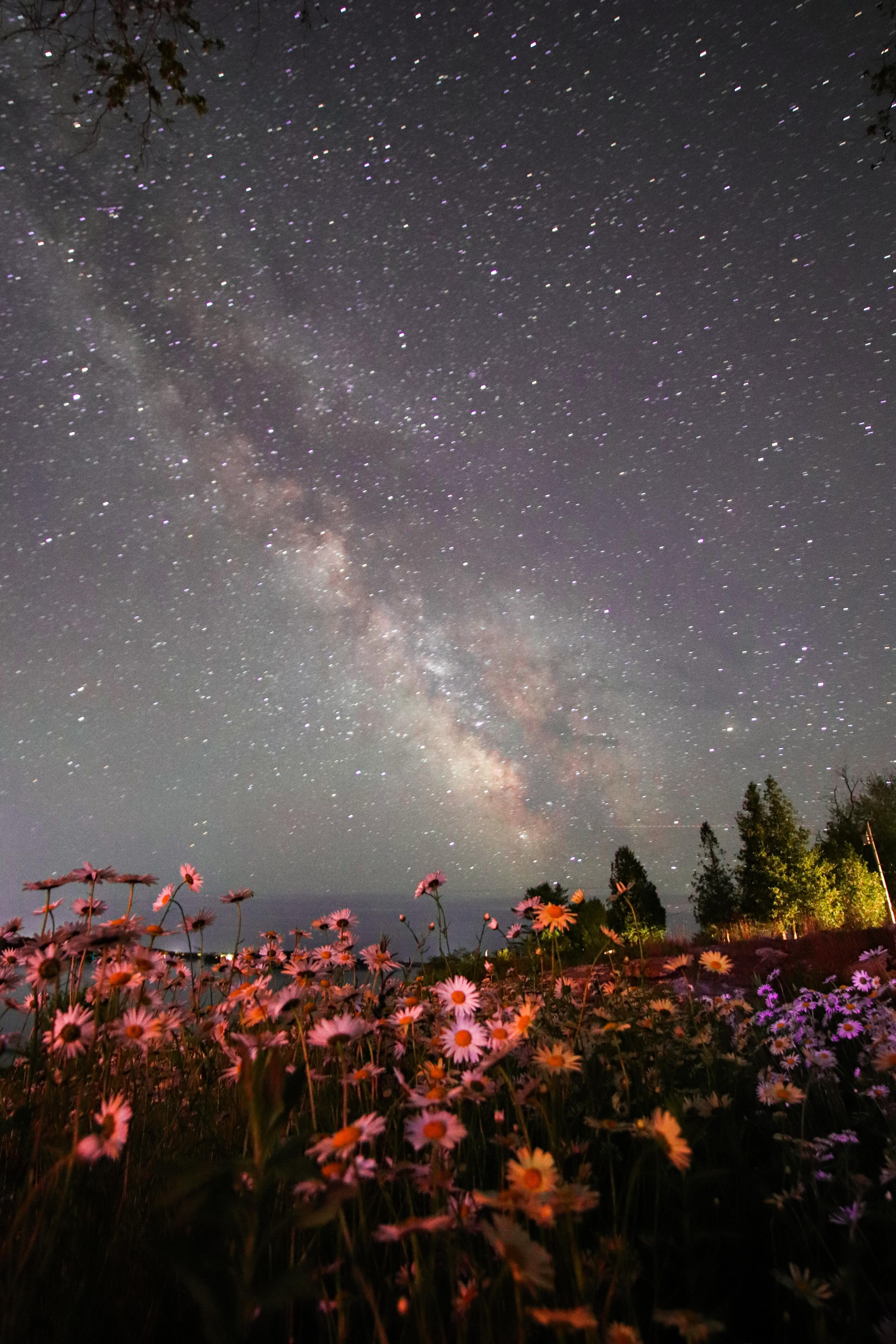 A beautiful clear night out in the yard.