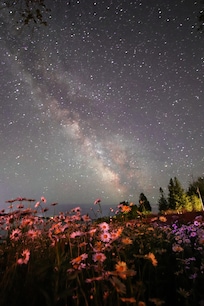 A beautiful clear night out in the yard.
