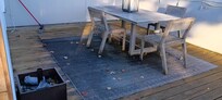 Rooftop dining area is coated with black mold, which we feared we'd make "airborne" and breathe in if we moved any of the furniture.