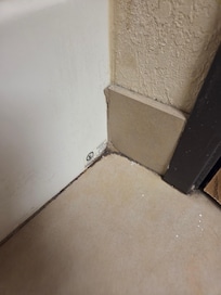 Dirt or mold in the corner at the tub, wall and floor.