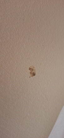 Weird stain