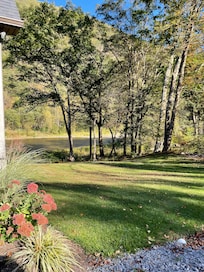 Creek view from driveway.