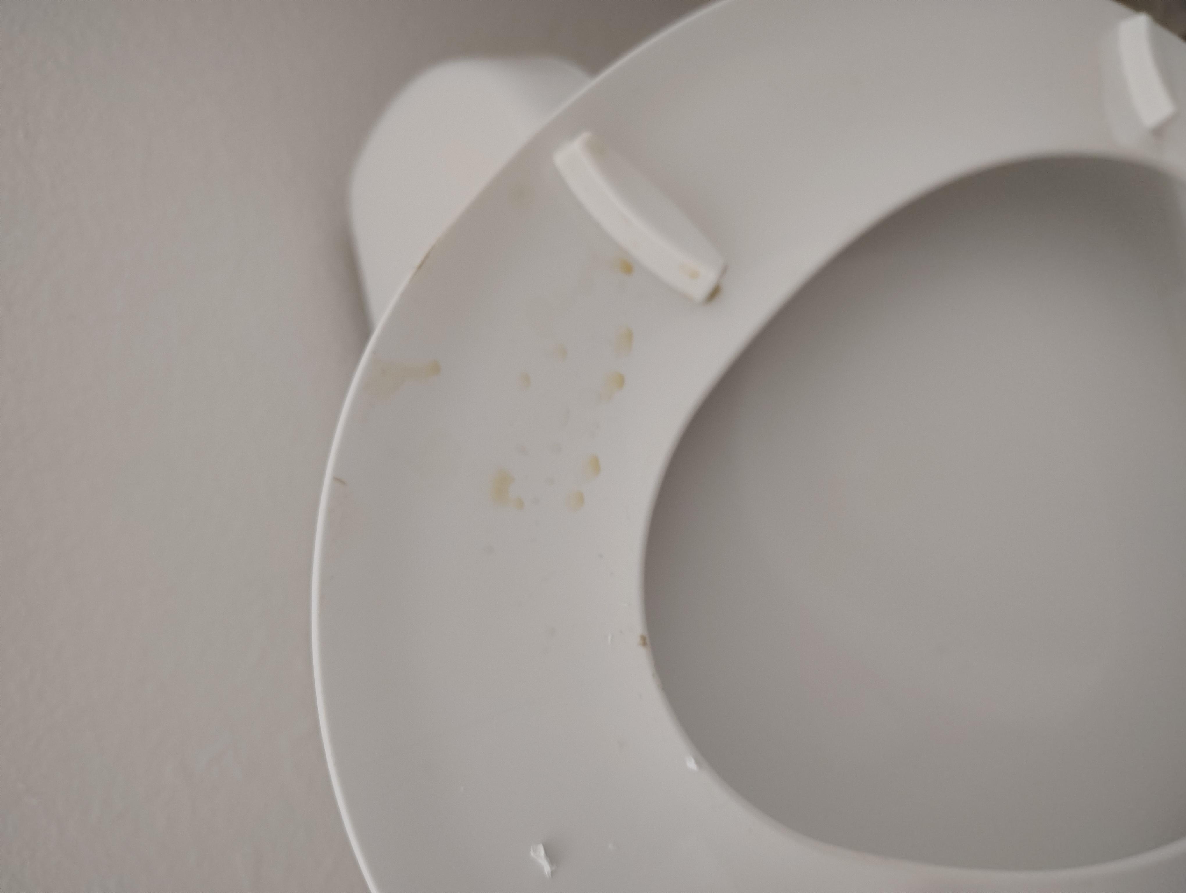 Piss stain on toilet seat this is a total health violation !!!!!