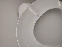 Piss stain on toilet seat this is a total health violation !!!!!