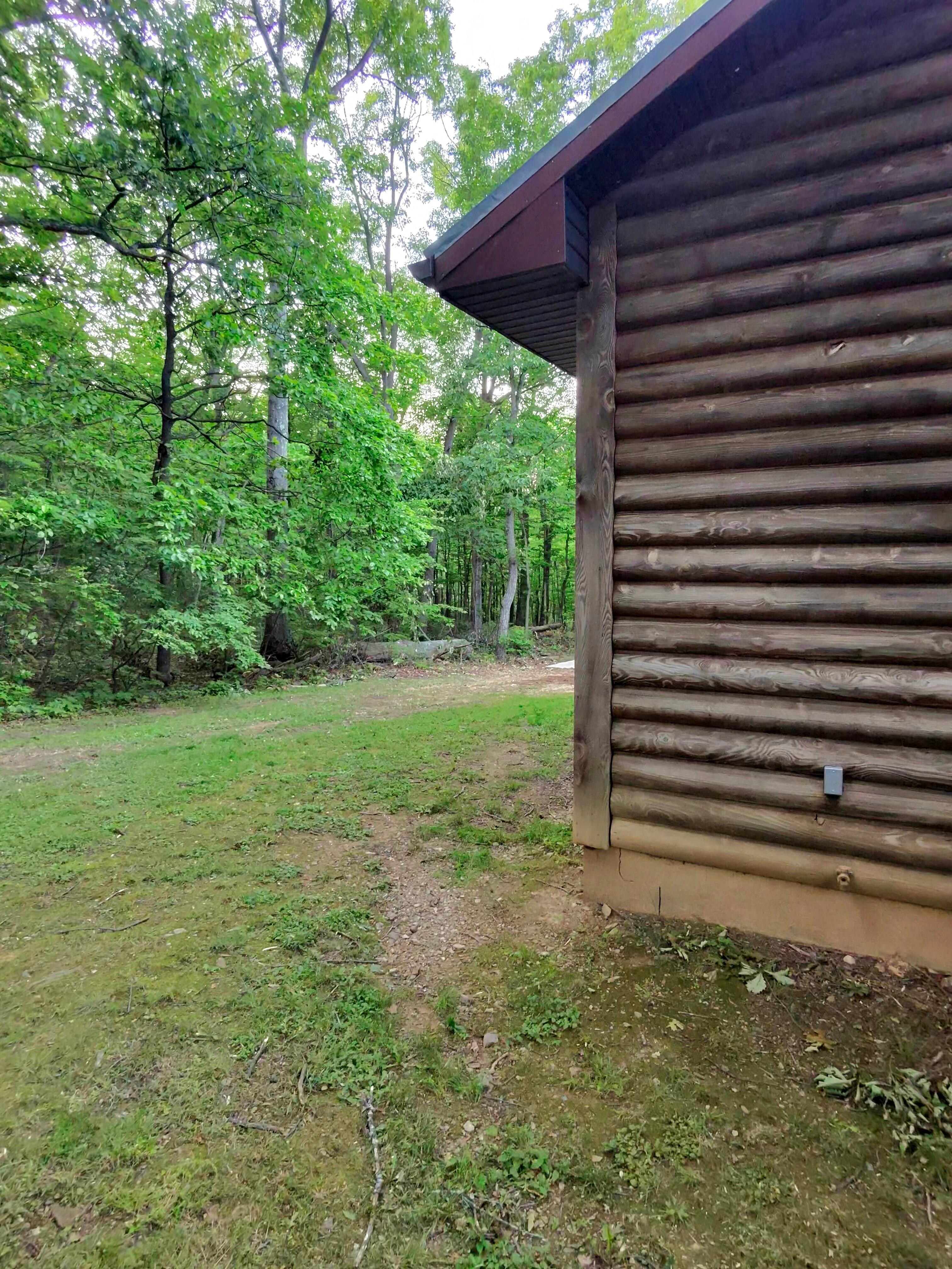 View from rear of property