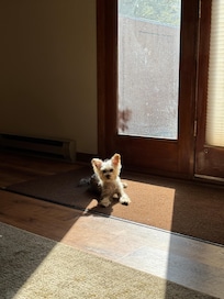 Our little dog loved relaxing by the glass front doors!