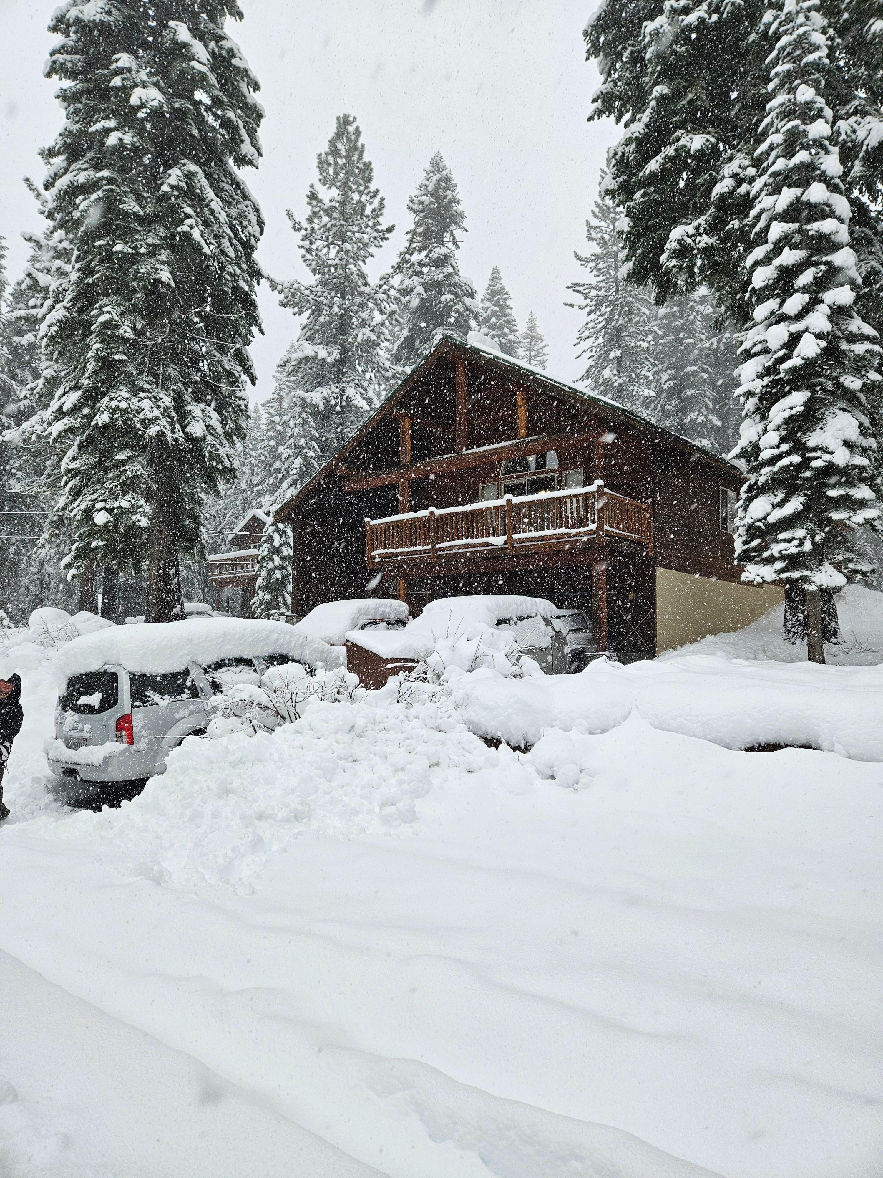 Beautiful White Christmas 2025