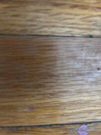 Blank. Cause host cancled on me……..