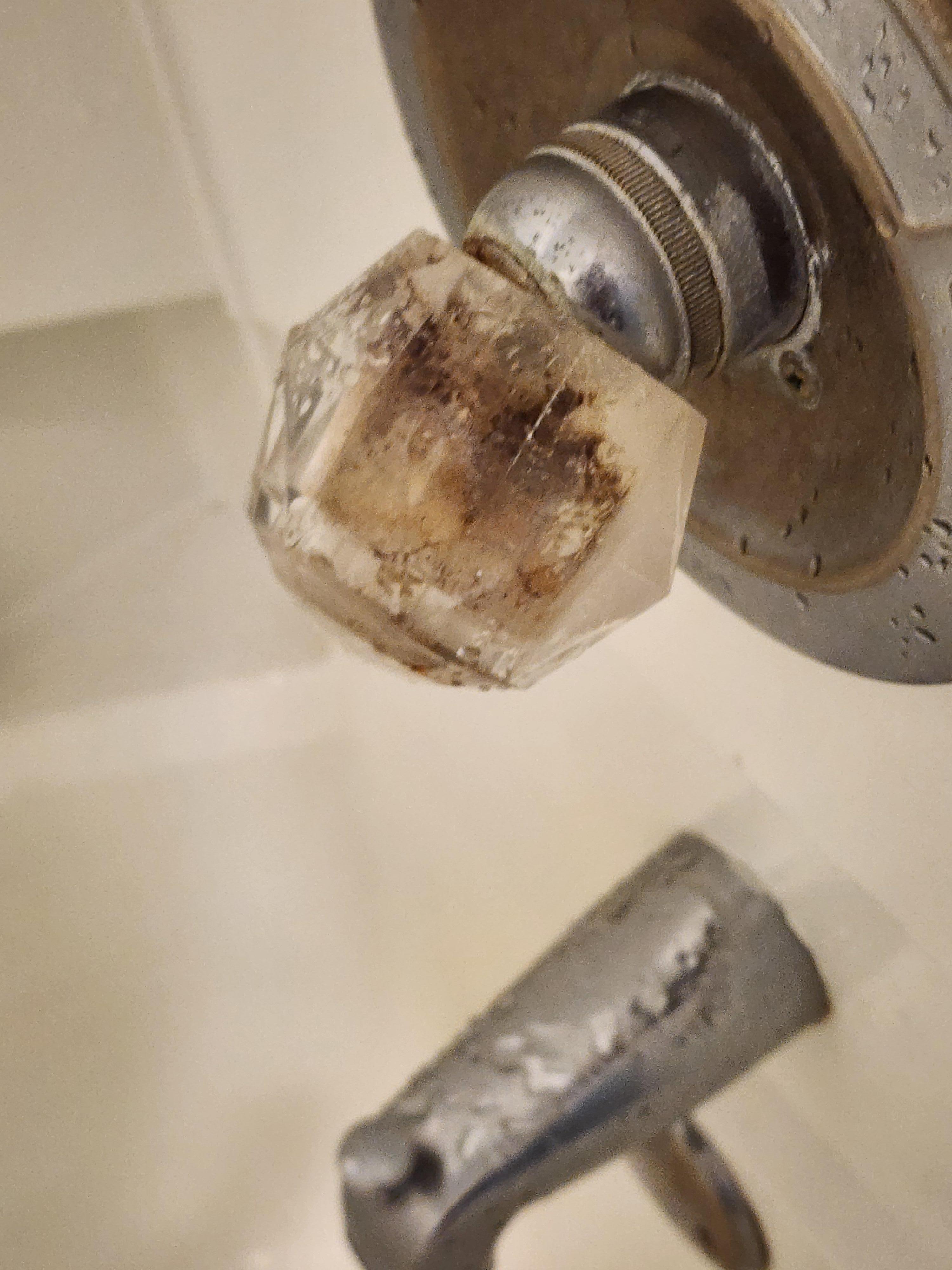 Disgusting shower faucet