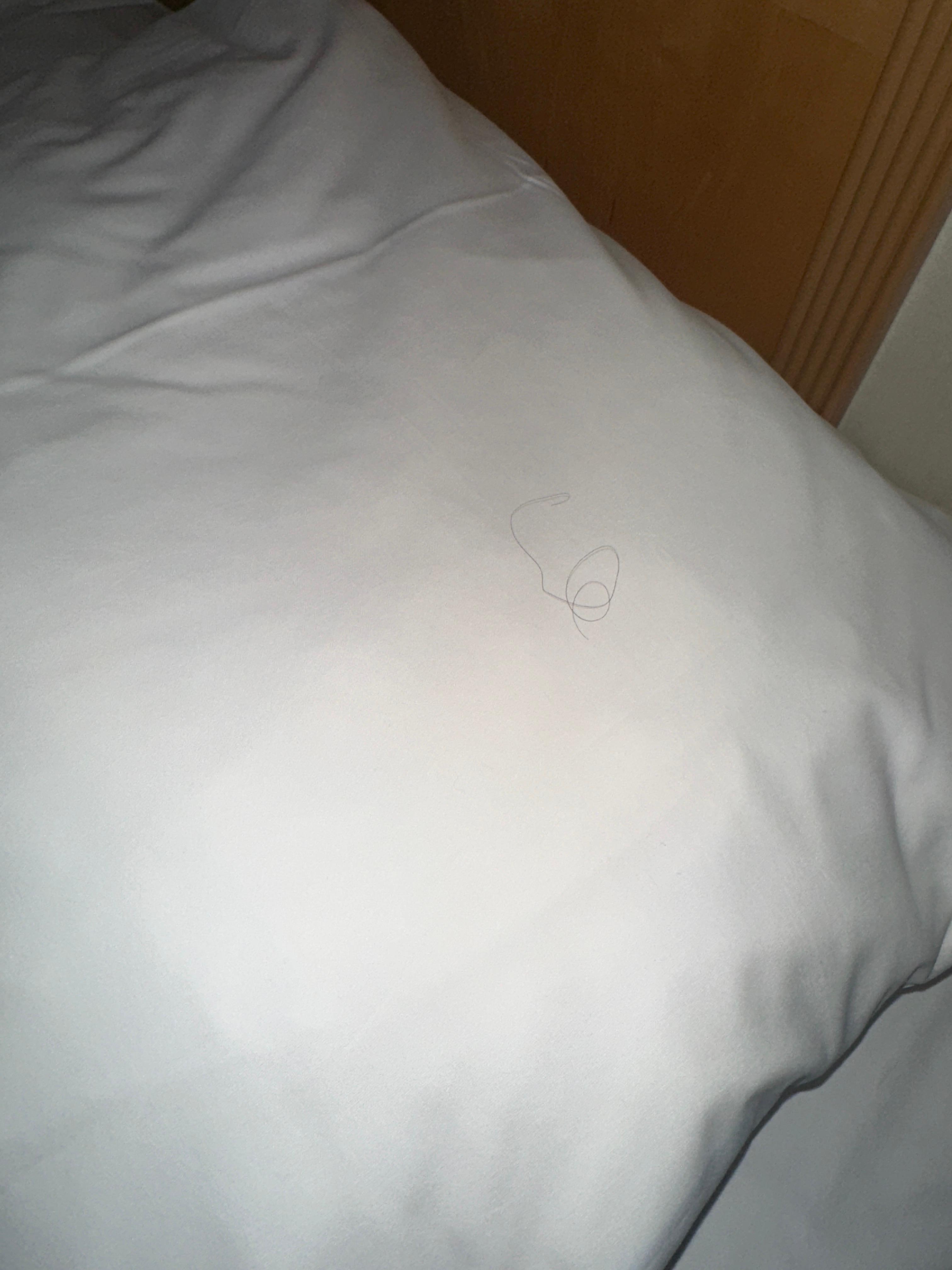 2nd room, hair on pillow