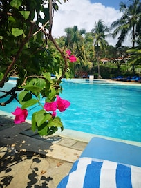 Lovely warm pool